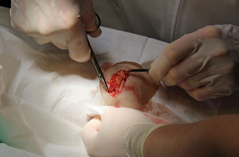 South Florida Surgery